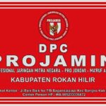 dpc-pro-jamin